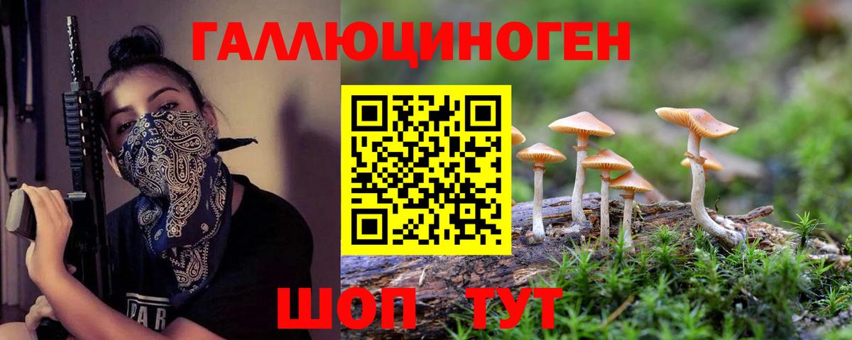 Пугачёв  Галлюциногенные грибы ЛСД  Галлюциногенные грибы прущие грибы  Вход с VPN 
